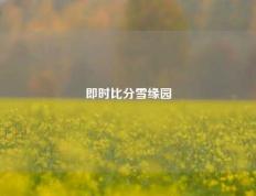 即时比分雪缘园