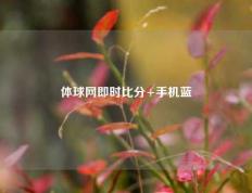 体球网即时比分+手机蓝