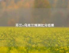 芬兰vs乌克兰预测比分结果