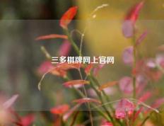 三多棋牌网上官网