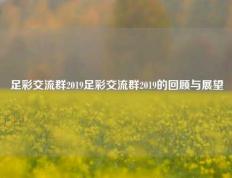 足彩交流群2019足彩交流群2019的回顾与展望
