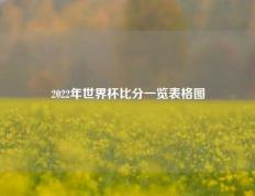 2022年世界杯比分一览表格图