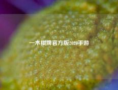 一木棋牌官方版2020手游