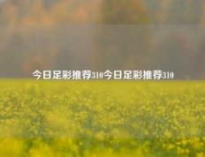 今日足彩推荐310今日足彩推荐310