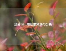足彩16141期结果预测与分析