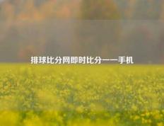 排球比分网即时比分一一手机