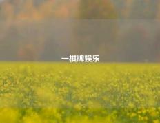 一棋牌娱乐