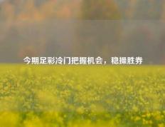 今期足彩冷门把握机会，稳操胜券