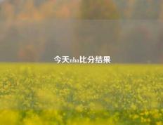 今天nba比分结果