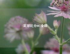 足球比分007全部