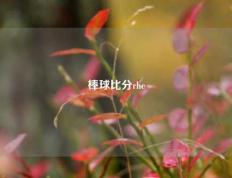 棒球比分rhe