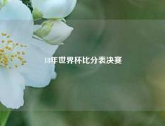 18年世界杯比分表决赛