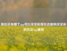 现在还有哪个app可以买足彩现在还能购买足彩的合法App推荐
