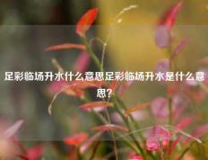 足彩临场升水什么意思足彩临场升水是什么意思？