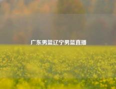 广东男篮辽宁男篮直播