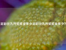 足彩任九开奖奖金多少足彩任九开奖奖金多少？