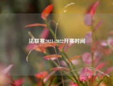 法联赛2021-2022开赛时间