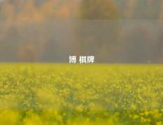 博 棋牌