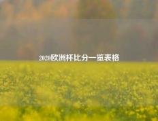 2020欧洲杯比分一览表格