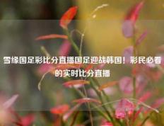 雪缘国足彩比分直播国足迎战韩国！彩民必看的实时比分直播