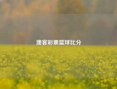 澳客彩票篮球比分