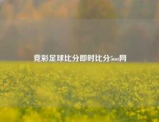 竞彩足球比分即时比分5oo网