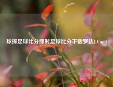 球探足球比分即时足球比分下载罗达J Cmni
