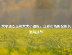 大小通吃足彩大大小通吃，足彩市场的全新机遇与挑战