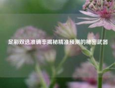 足彩双选准确率揭秘精准预测的秘密武器