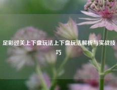 足彩过关上下盘玩法上下盘玩法解析与实战技巧