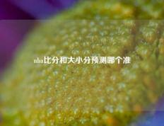 nba比分和大小分预测哪个准