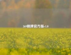 369棋牌官方版v1.0