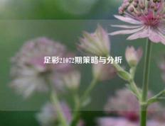 足彩21072期策略与分析