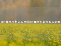2021年手机怎么买足彩2021年手机如何购买彩票