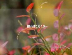 捷报比分5.20