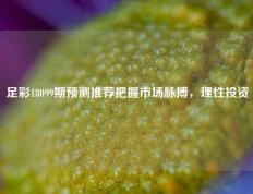 足彩18099期预测推荐把握市场脉搏，理性投资