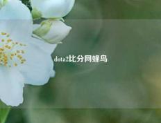 dota2比分网蜂鸟