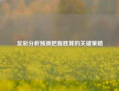 足彩分析预测把握胜算的关键策略
