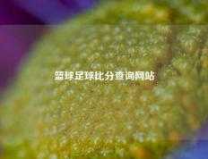篮球足球比分查询网站