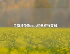 足彩胜负彩20075期分析与策略