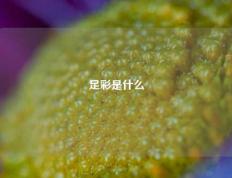 足彩是什么