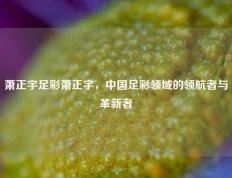 萧正宇足彩萧正宇，中国足彩领域的领航者与革新者