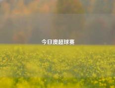 今日澳超球赛