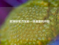 欧洲杯官方足彩一场盛宴的开始