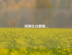 球探比分数据....