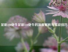 足彩310佬牛足彩310佬牛的深度解析与实战技巧