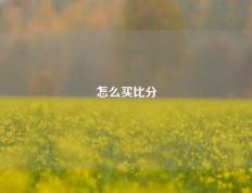 怎么买比分