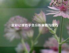 足彩让球胜平负分析策略与技巧