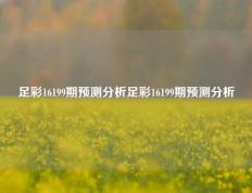足彩16199期预测分析足彩16199期预测分析