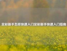 足彩新手怎样快速入门足彩新手快速入门指南